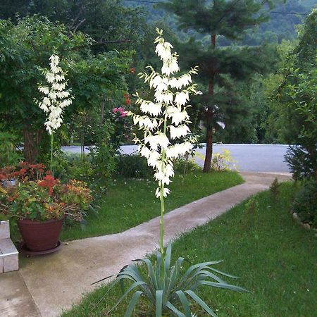 House Zlatko Konuk evi Seliste Dreznicko Dış mekan fotoğraf