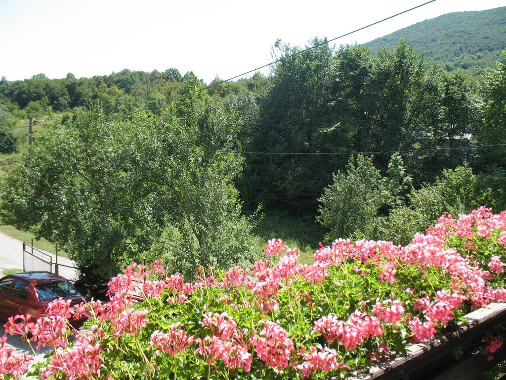 House Zlatko Konuk evi Seliste Dreznicko Dış mekan fotoğraf