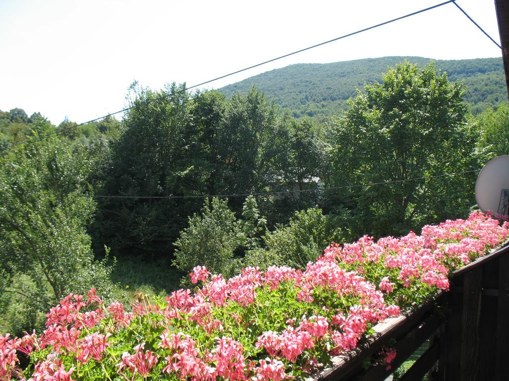 House Zlatko Konuk evi Seliste Dreznicko Dış mekan fotoğraf