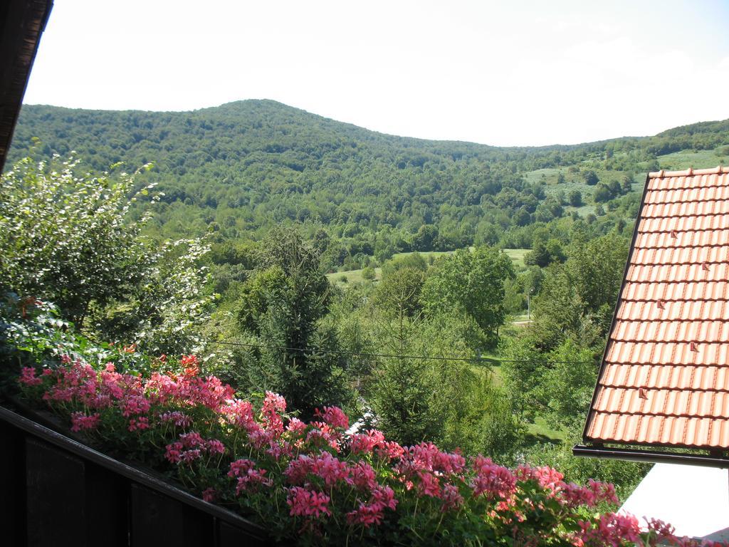House Zlatko Konuk evi Seliste Dreznicko Dış mekan fotoğraf