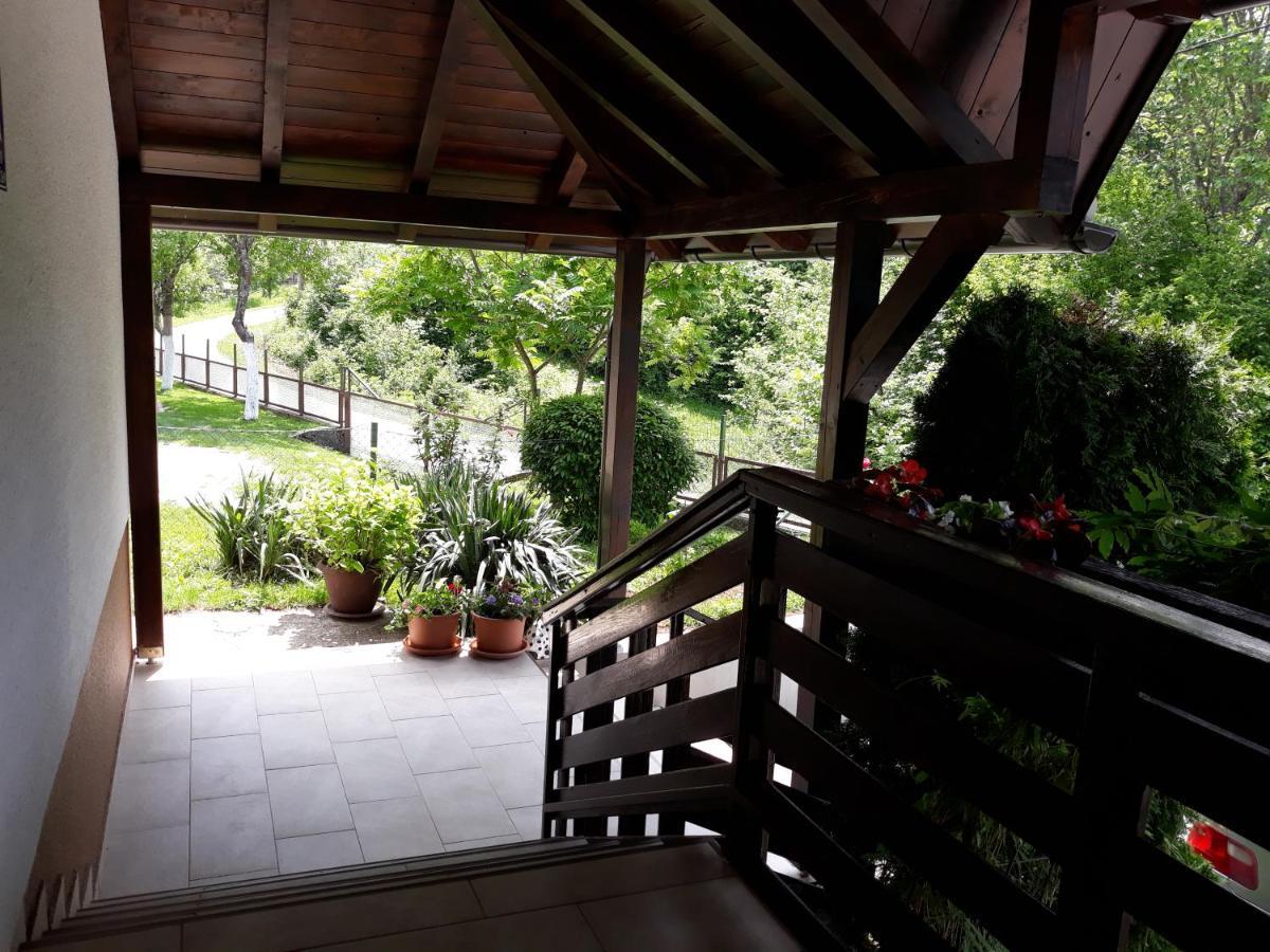 House Zlatko Konuk evi Seliste Dreznicko Dış mekan fotoğraf